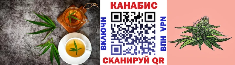 Купить где  Мещовск  Canna-Cookies конопля 