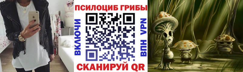Галлюциногенные грибы прущие грибы  Купить где  Мещовск 